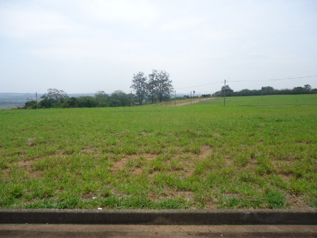 Terreno / Padrão em São Carlos 