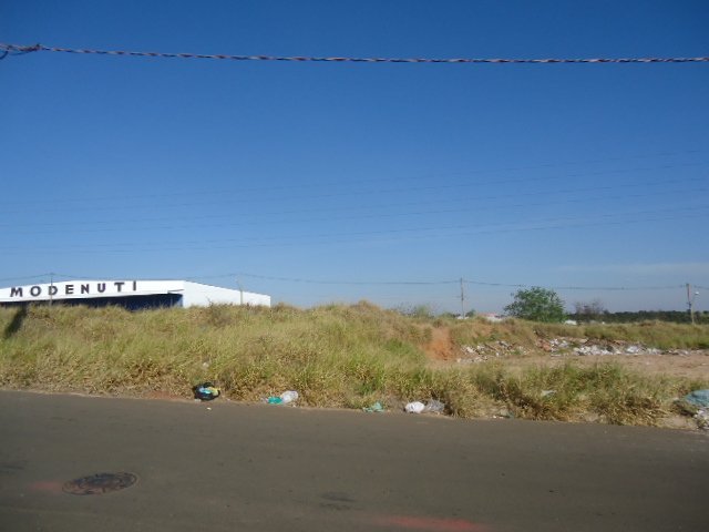 Terreno / Padrão em São Carlos 