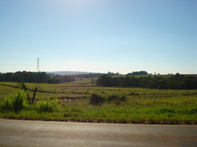 Rural / Sítio em São Carlos 