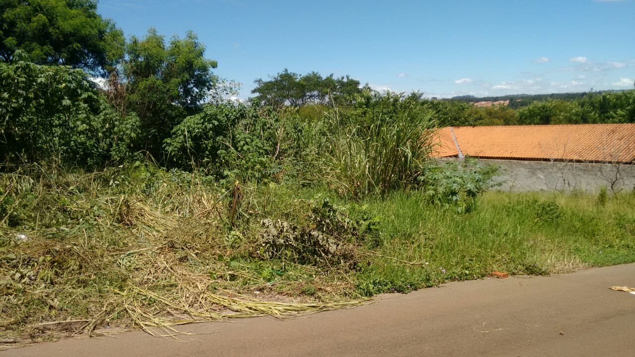 Terreno / Padrão em São Carlos 