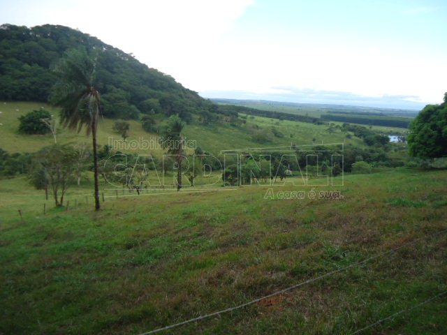 Rural / Sítio em Dourado 