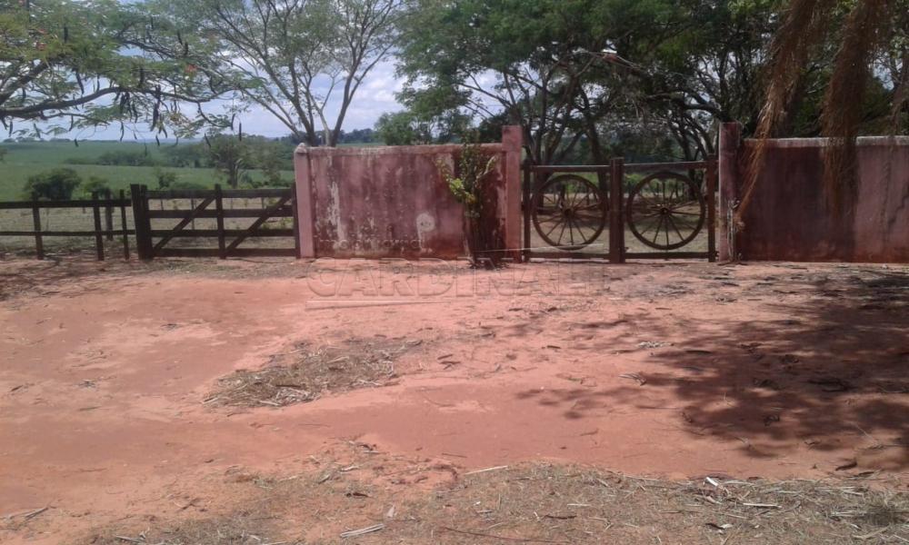 Rural / Sítio em Boa Esperanca do Sul 