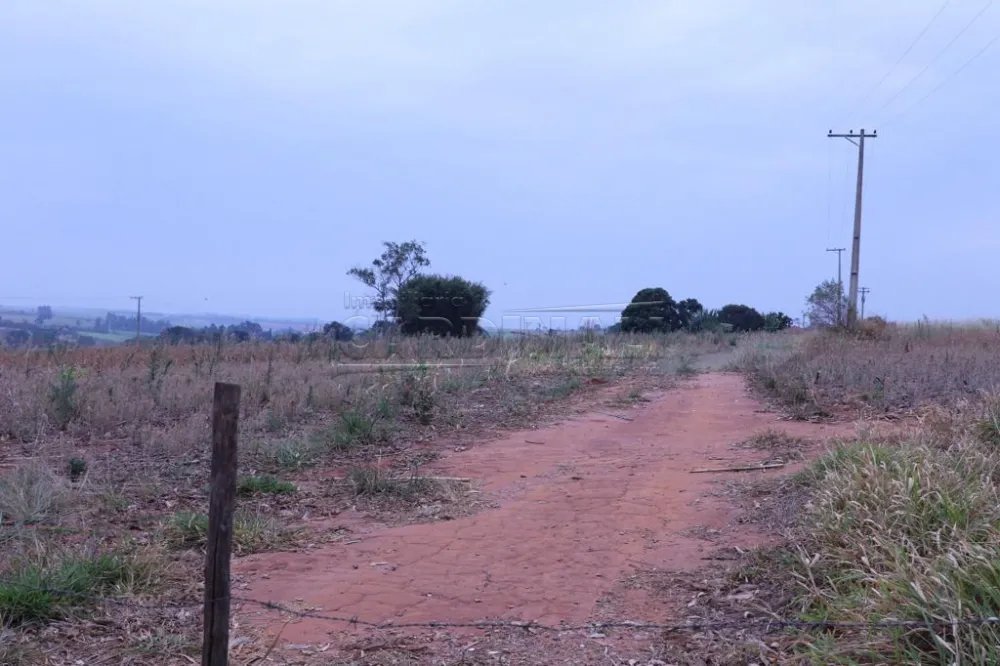 Rural / Sítio em São Carlos 