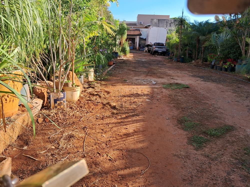 Comercial / Terreno em Araraquara Alugar por R$7.000,00