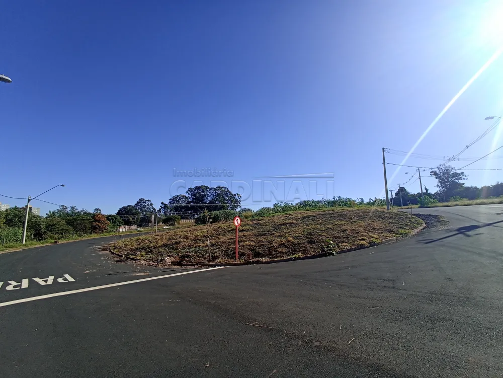 Terreno / Lote em São Carlos 