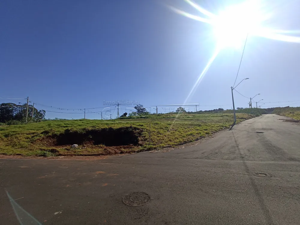 Terreno / Lote em São Carlos 