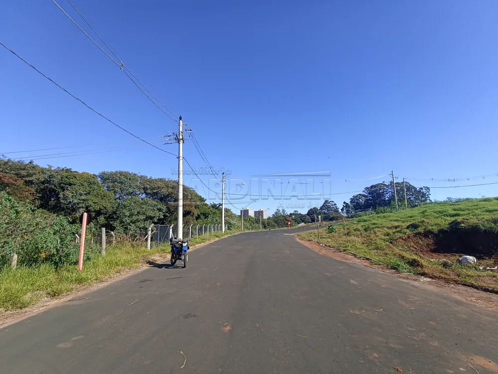 Terreno / Lote em São Carlos 