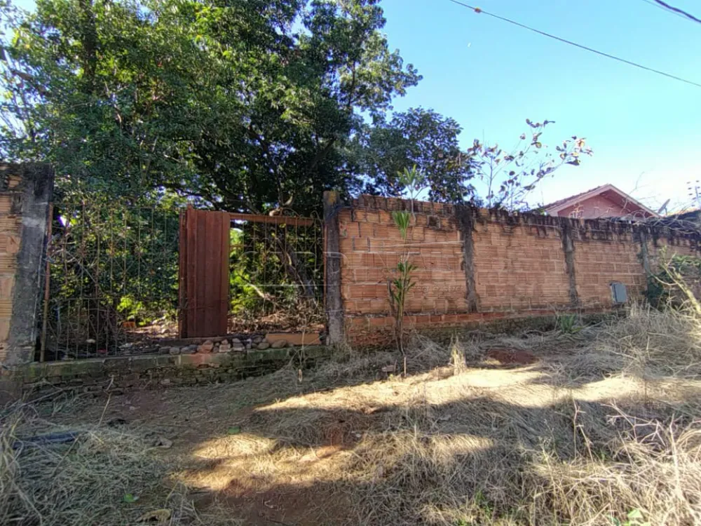 Terreno / Padrão em Araraquara 