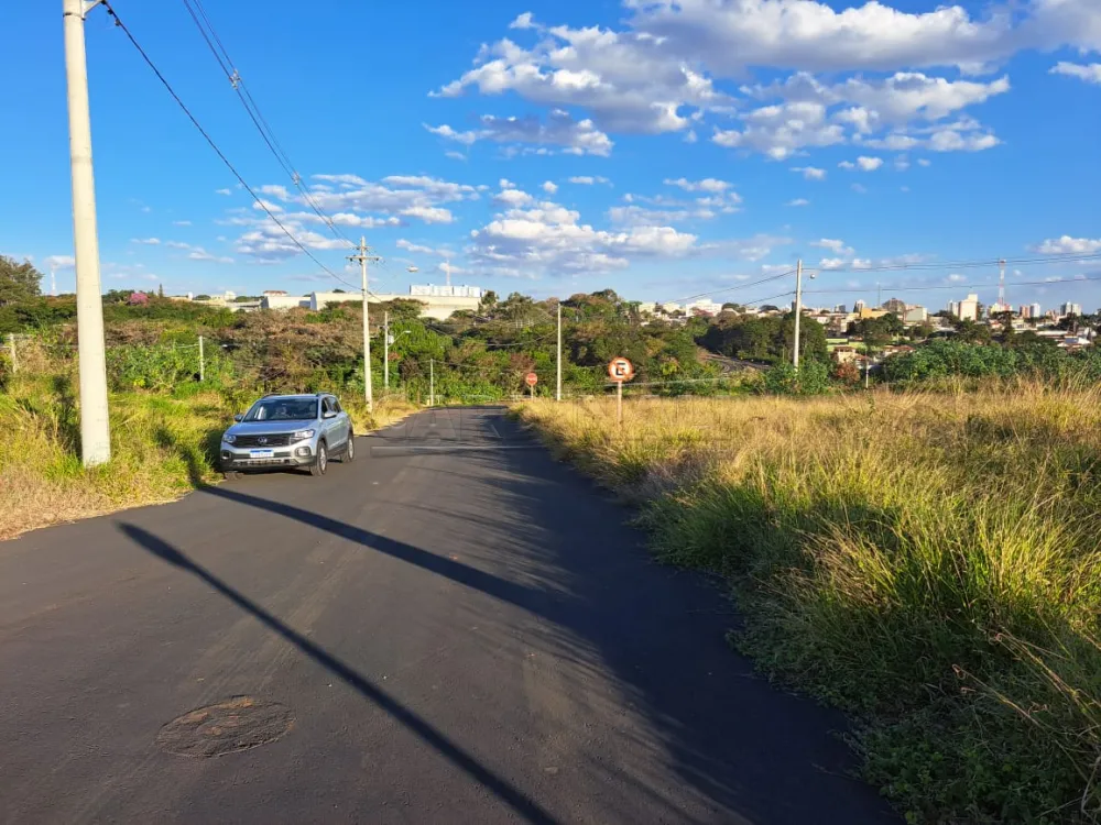 Terreno / Padrão em São Carlos 