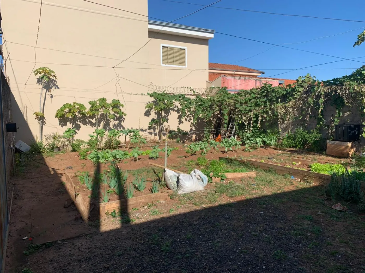 Terreno / Padrão em São Carlos 