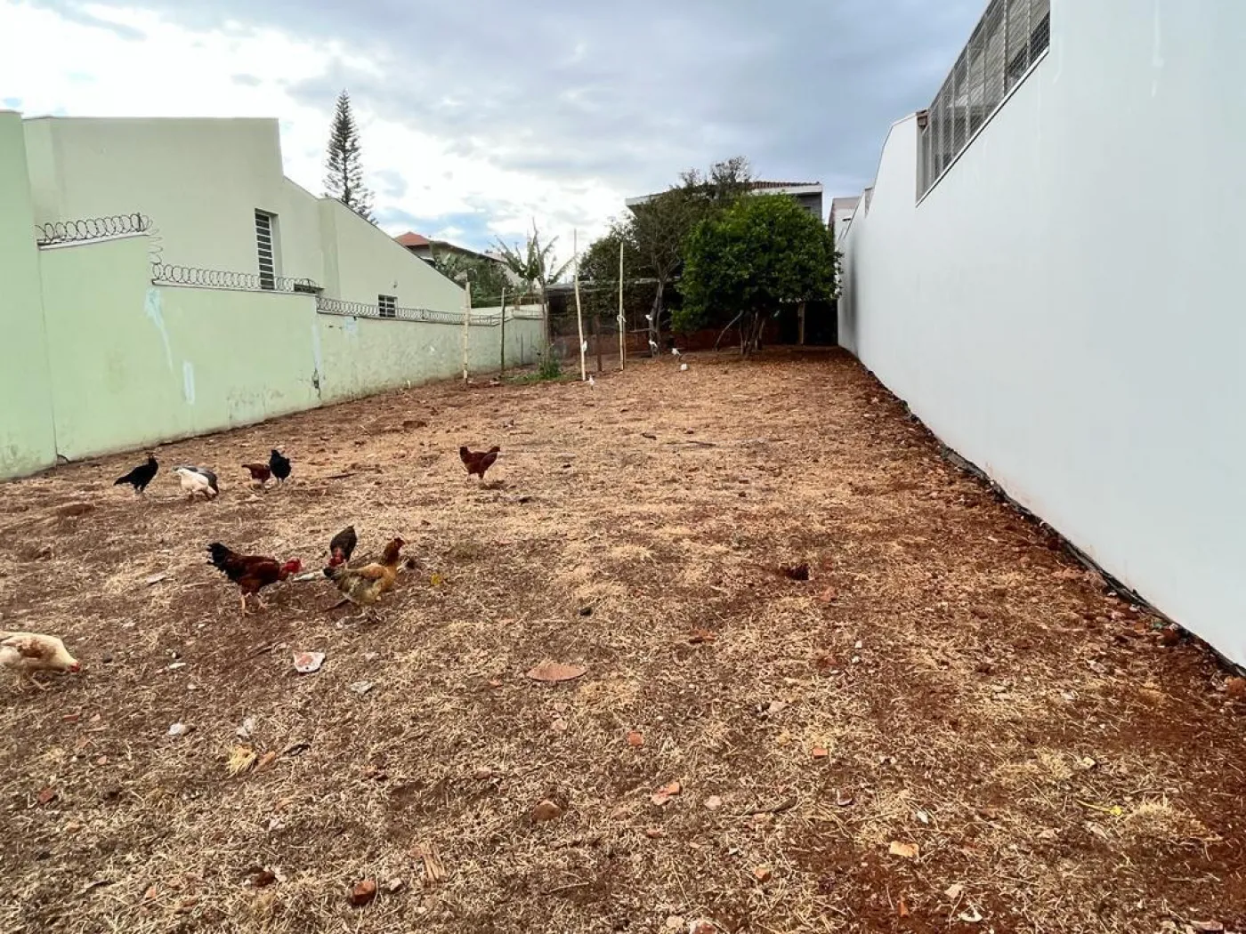 Terreno / Padrão em São Carlos 