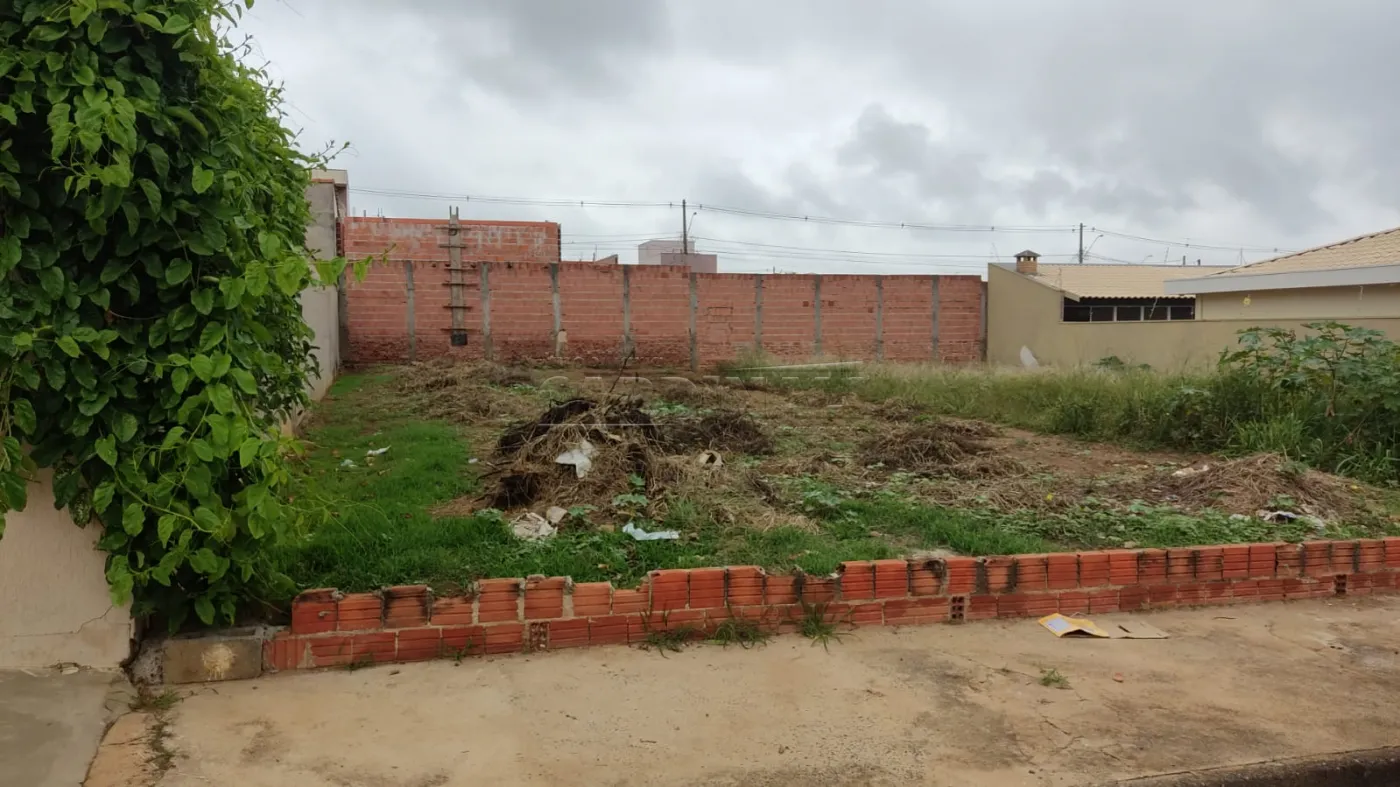 Terreno / Padrão em São Carlos 