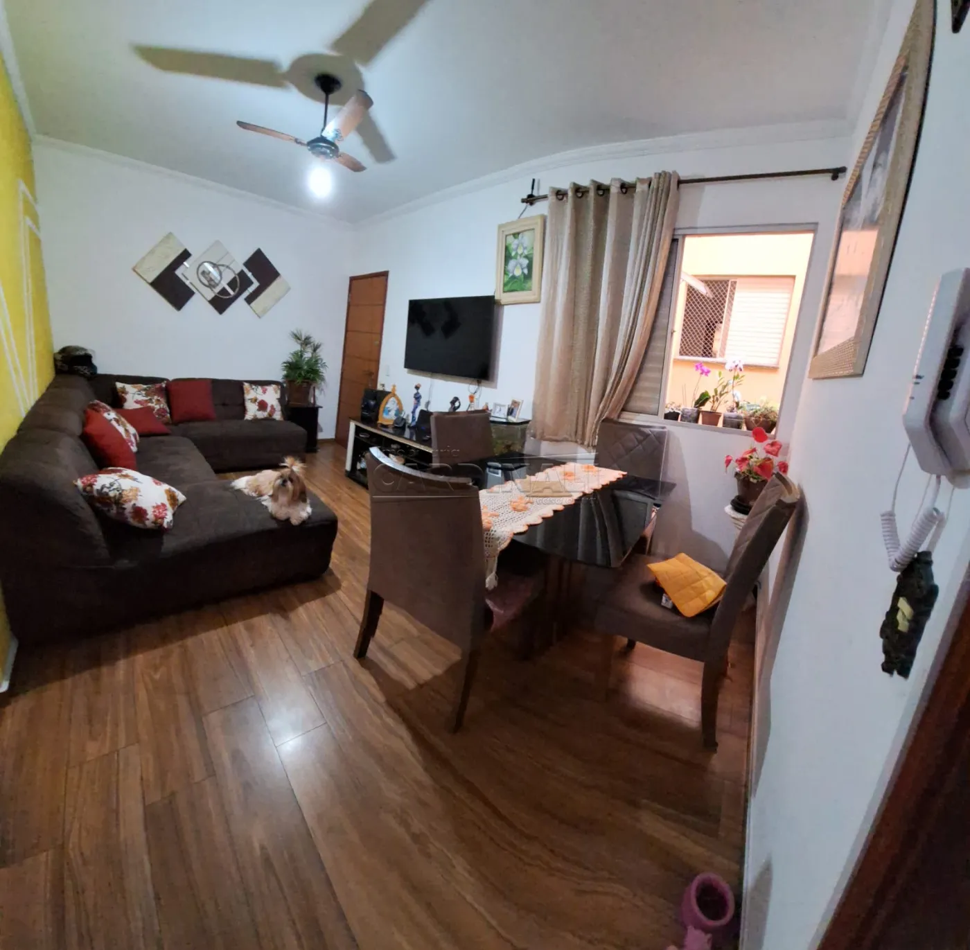 Apartamento / Padrão em São Carlos 