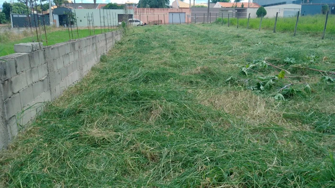 Terreno / Padrão em Araraquara 