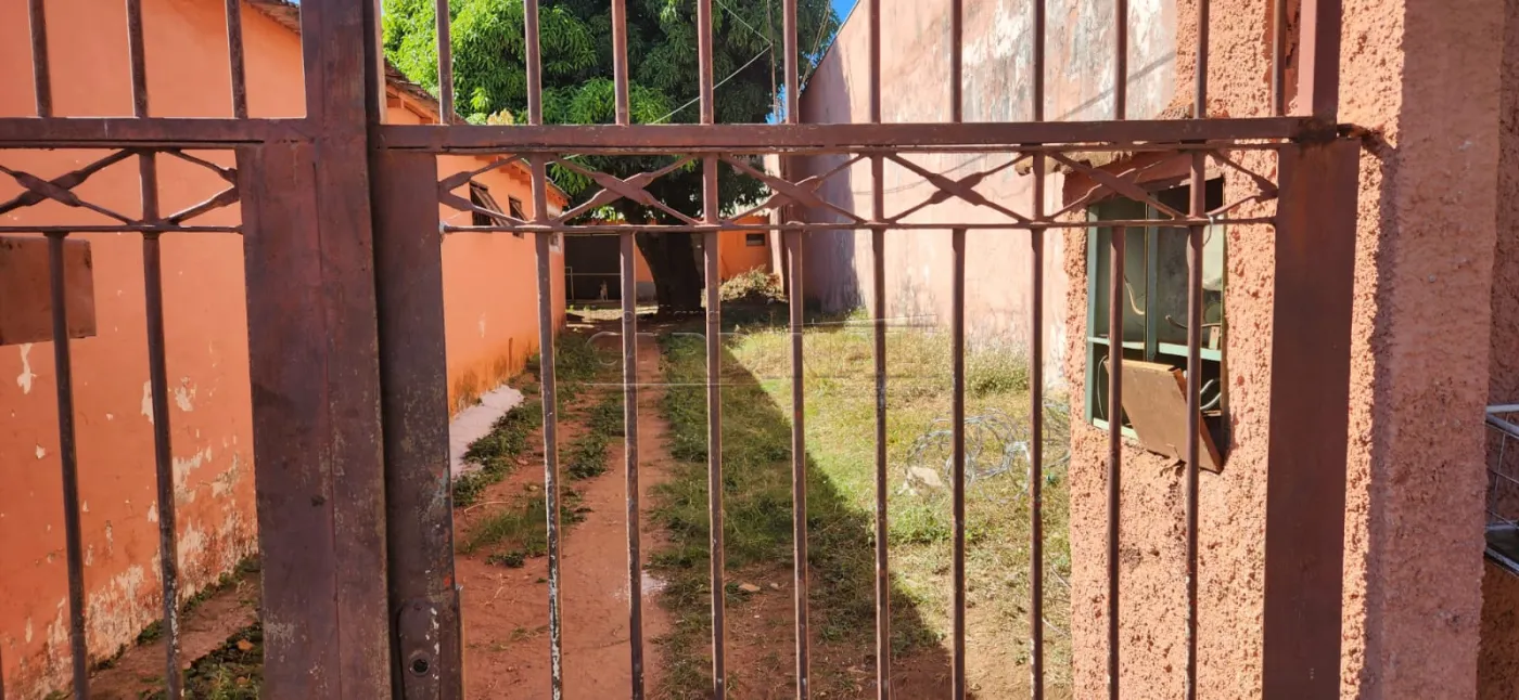 Casa / Padrão em São Carlos 