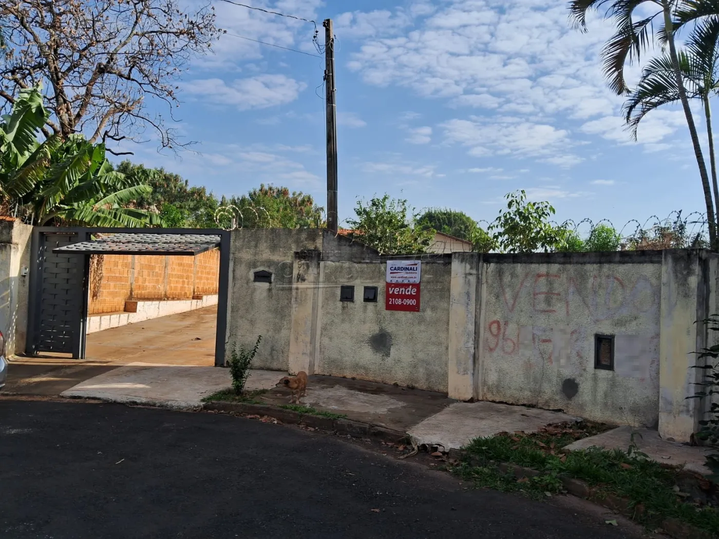 Casa / Padrão em Araraquara 