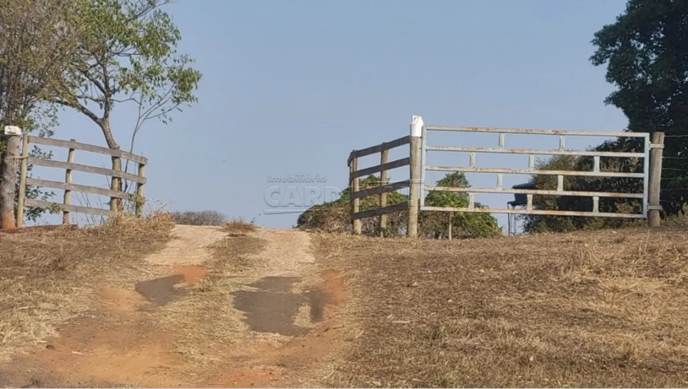 Rural / Área em Borborema 