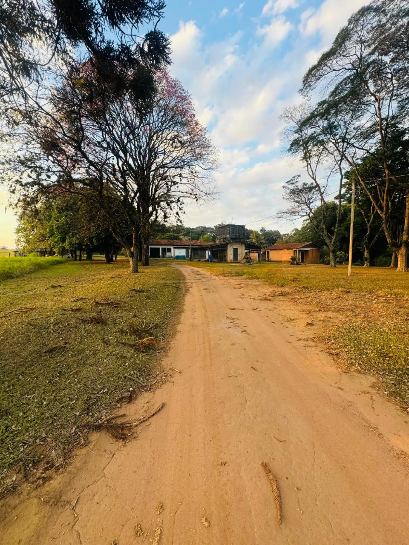 Rural / Sítio em São Carlos 