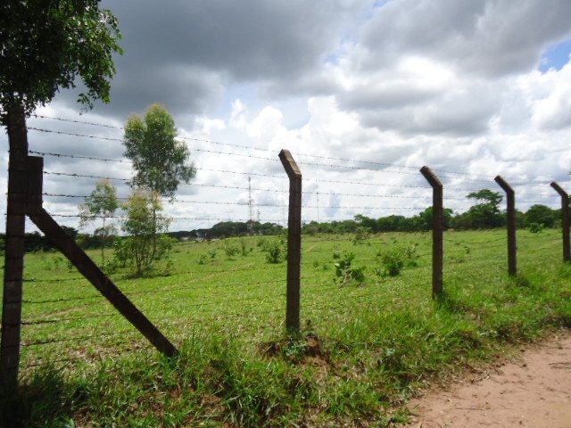 Alugar Rural / Área em São Carlos. apenas R$ 10.679.000,00