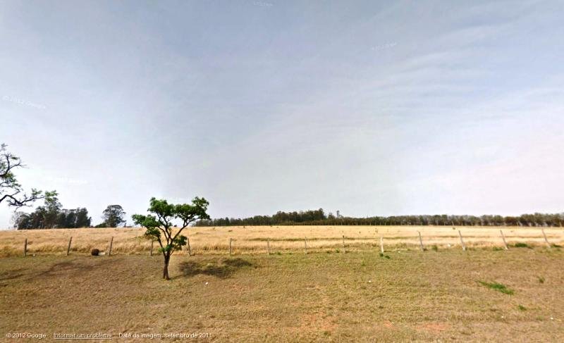 Alugar Rural / Área em São Carlos. apenas R$ 9.680.000,00