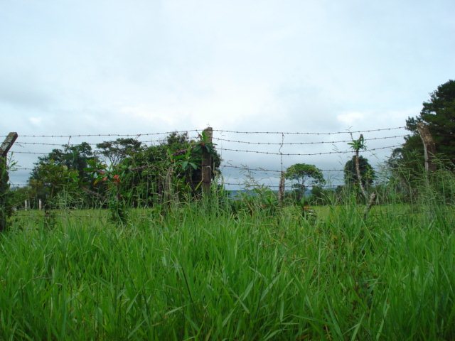 Sao Carlos Chacara Flores Terreno Venda R$3.420.000,00 