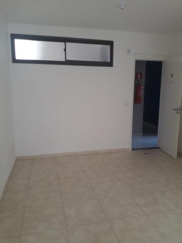Alugar Apartamento / Padrão em Araraquara. apenas R$ 550,00
