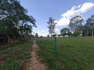 Alugar Rural / Área em São Carlos. apenas R$ 650.000,00