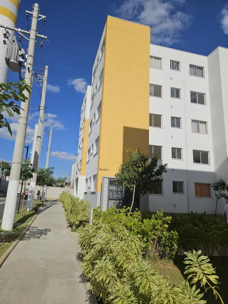 Paulinia Dona Edith Campos Favero Apartamento Venda R$280.000,00 Condominio R$430,00 2 Dormitorios 1 Vaga 